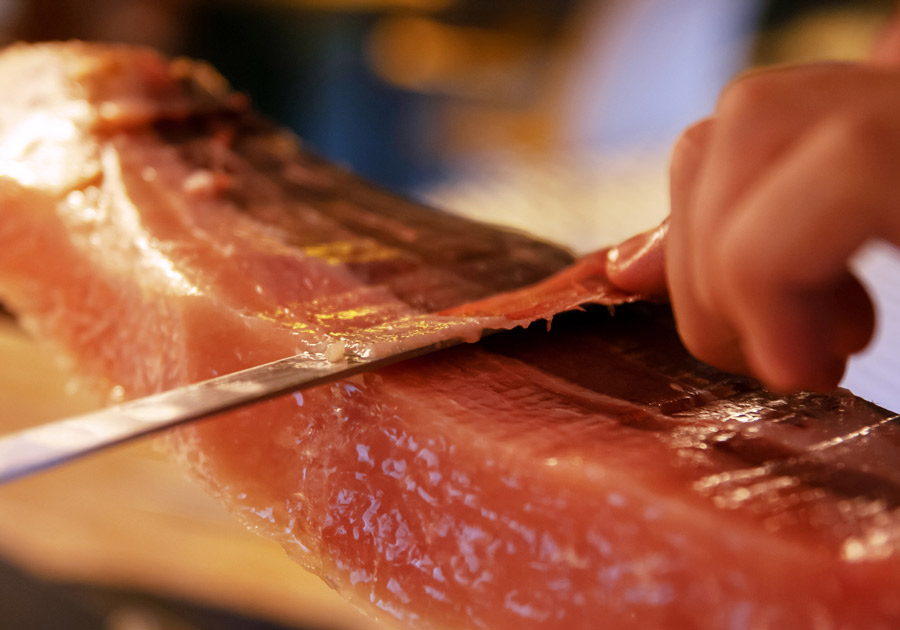 carnivora sardinas-900