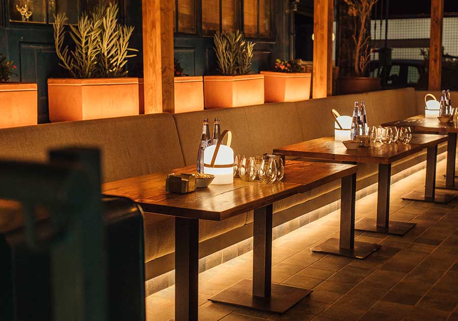 carnivora-experience-23-900