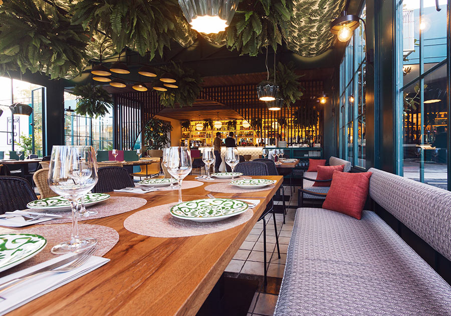 carnivora interior-900