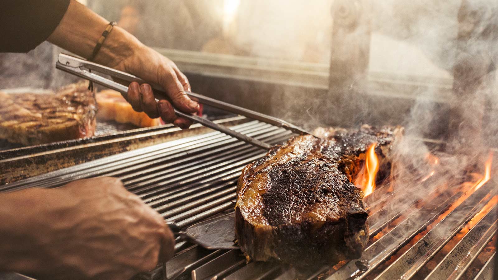 carnivora atun-rojo-2019