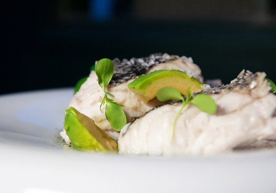 carnivora terraza-night-900