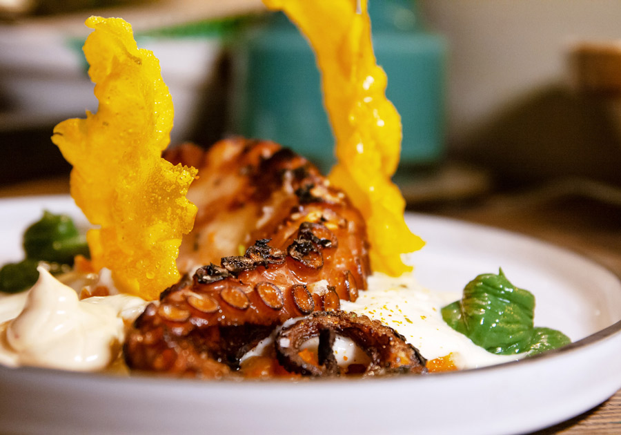 carnivora rissoto-900