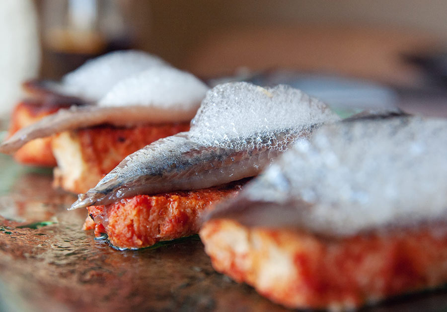 carnivora sardinas-900